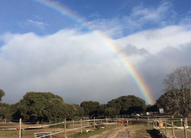  Rainbow over the farm 